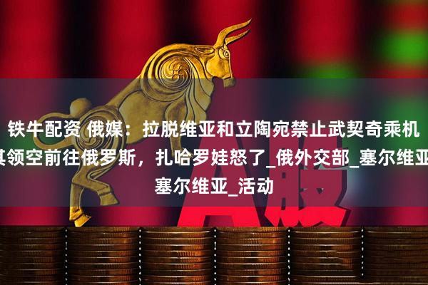 铁牛配资 俄媒：拉脱维亚和立陶宛禁止武契奇乘机飞越其领空前往俄罗斯，扎哈罗娃怒了_俄外交部_塞尔维亚_活动
