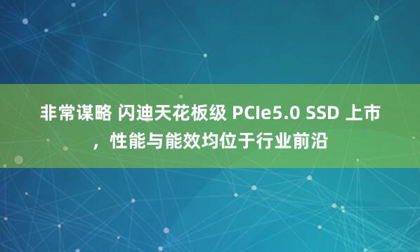非常谋略 闪迪天花板级 PCIe5.0 SSD 上市，性能与能效均位于行业前沿