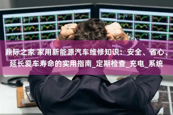 鼎际之家 家用新能源汽车维修知识：安全、省心、延长爱车寿命的实用指南_定期检查_充电_系统