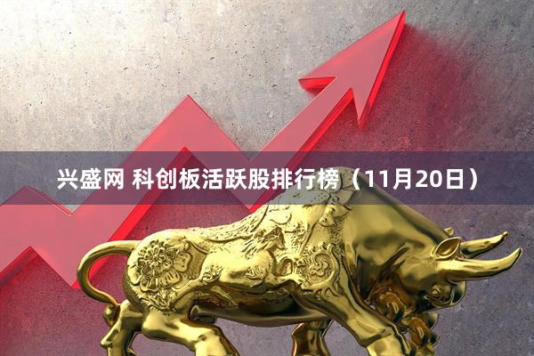 兴盛网 科创板活跃股排行榜（11月20日）