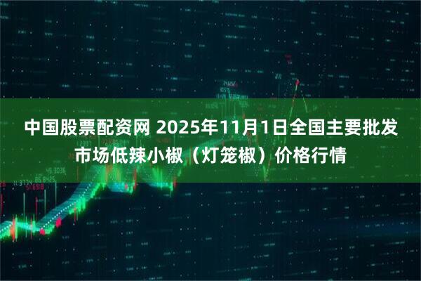 中国股票配资网 2025年11月1日全国主要批发市场低辣小椒（灯笼椒）价格行情